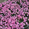 cloudy.beauty5