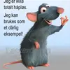 trygve.susort8
