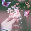 user571026860700