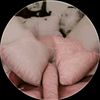 bascara_123