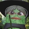 pemula_gfx__