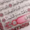 adam.ahmad533
