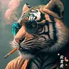 biluan76qn