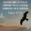 carmengarcia8783