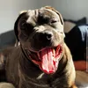 billy.9748