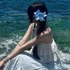 _wiinter.2