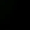 zoe1233454