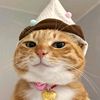 icecreaam_vanilla