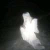 sof_1428