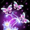 aracely.nohemi.go