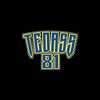 tedass 81