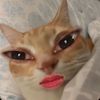 im.itsa09