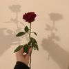 ♛𝘓𝘰𝘺𝘢𝘭๛❤️‍🔥