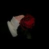 user2940617246706