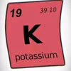 potassium2504