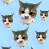 marscel_andk