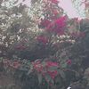 abdul.latif3752