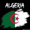 hakim.oran51