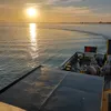 vlora7796