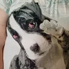 thrse.delescluse3