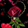 user20612047411924