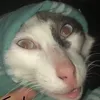 ahuhuhihi1212