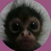 its_laynee3