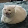 sway_ss