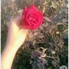 user3241347055879