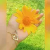 chuti_dimmi_official_