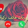 baderaribi6