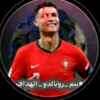 al.nsh