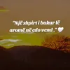 user.107116