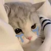anhngow4