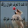 user9815999058598