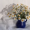 shazhn410