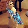 harutidi