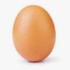 egg8469