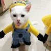 matcha_cici