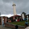 puskarchaudhary956