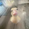 nahhhh__0011