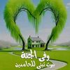 hamzahcoptii