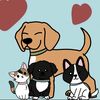 only._.catsdogs