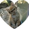 isabell52637