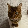 maruska_stilnaa_puska