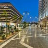 badr17239