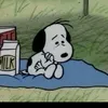 damarisss777