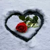 user3075402927456
