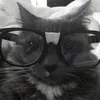 sebinkim__