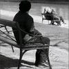 user8602448444018